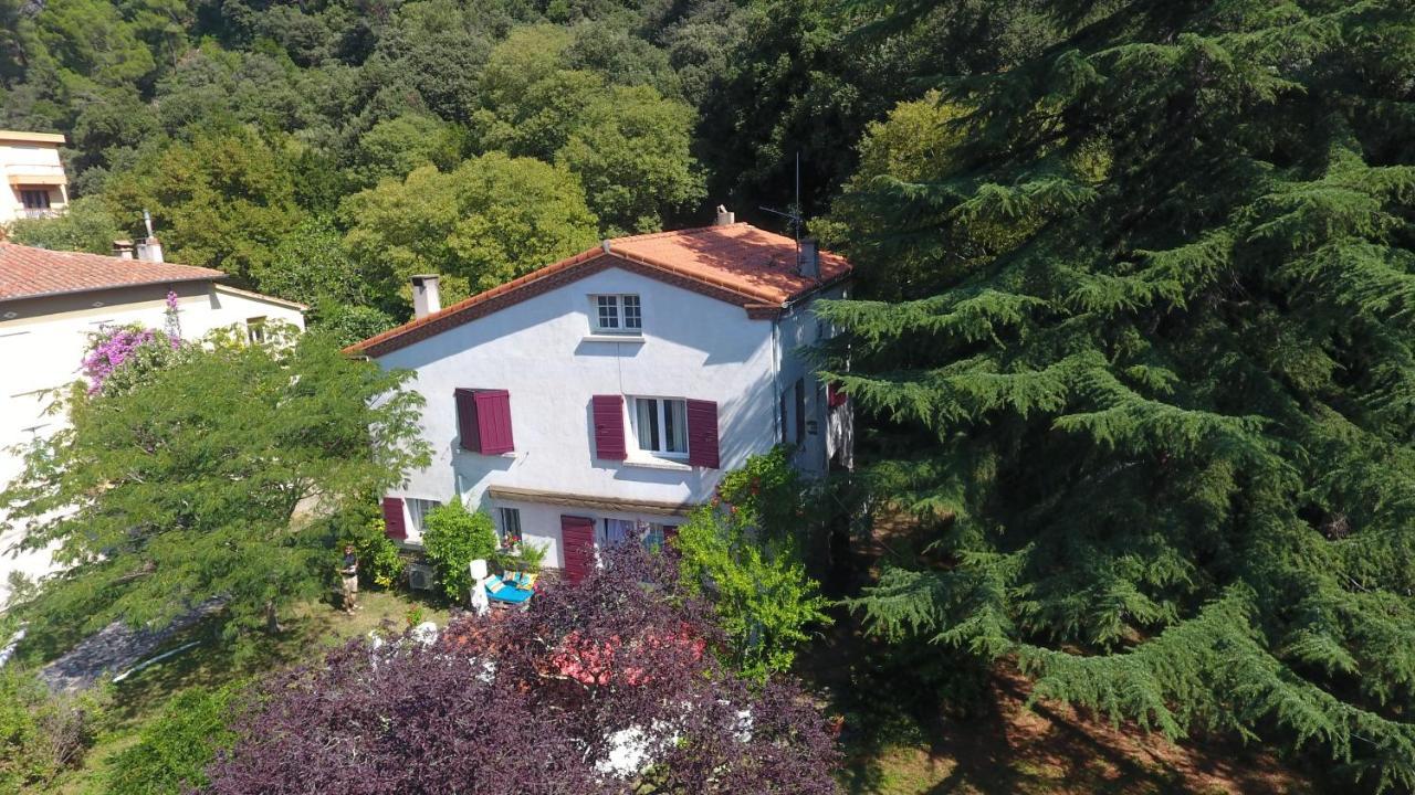 Villa Riviera Chambres Privees Amélie-les-Bains-Palalda Exteriér fotografie